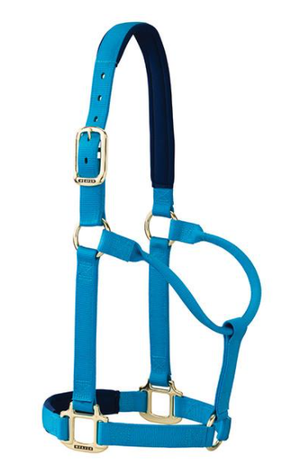 Halters and Leads