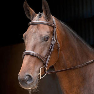 English Bridles and Reins