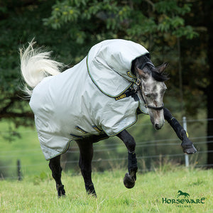 Equine Wear