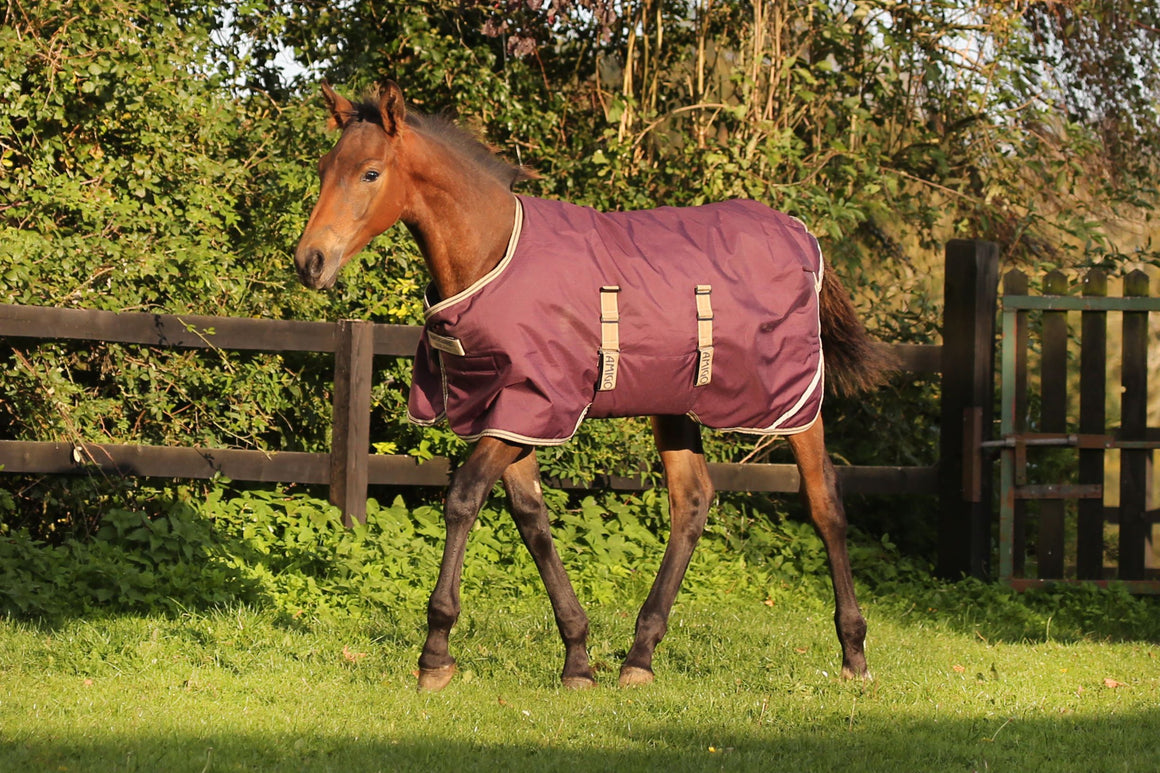 Horseware Amigo Foal Blanket Ripstop 200g